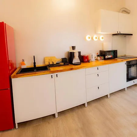Homey Luxury- Entire House, Free Parking, Yard Apartament Kluż-Napoka