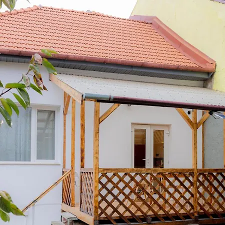 Homey Luxury- Entire House, Free Parking, Yard * Cluj-Napoca