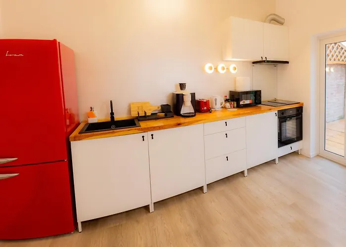 Homey Luxury- Entire House, Free Parking, Yard דירה קלוז'-נאפוקה