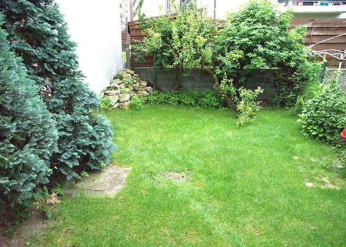 דירה Homey Luxury- Entire House, Free Parking, Yard *